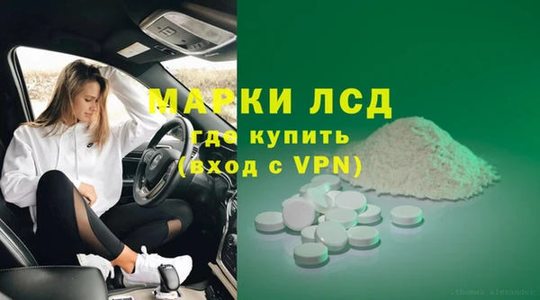 крисы Осинники