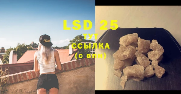прущая мука Болотное