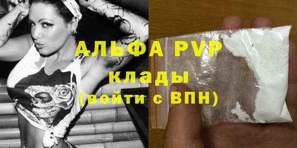 крисы Осинники