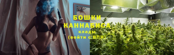 крисы Осинники
