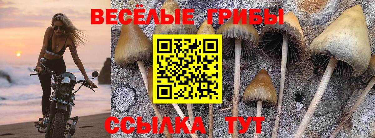 Амурск  Галлюциногенные грибы прущие грибы  Вход с VPN 