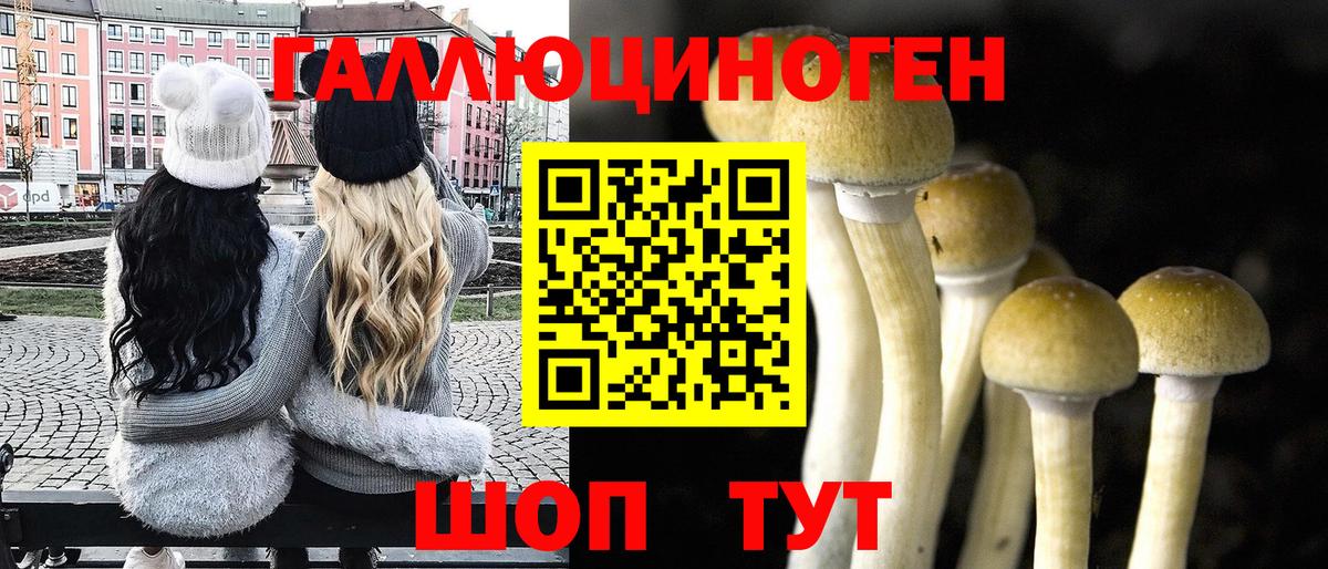 Псилоцибиновые грибы GOLDEN TEACHER Амурск