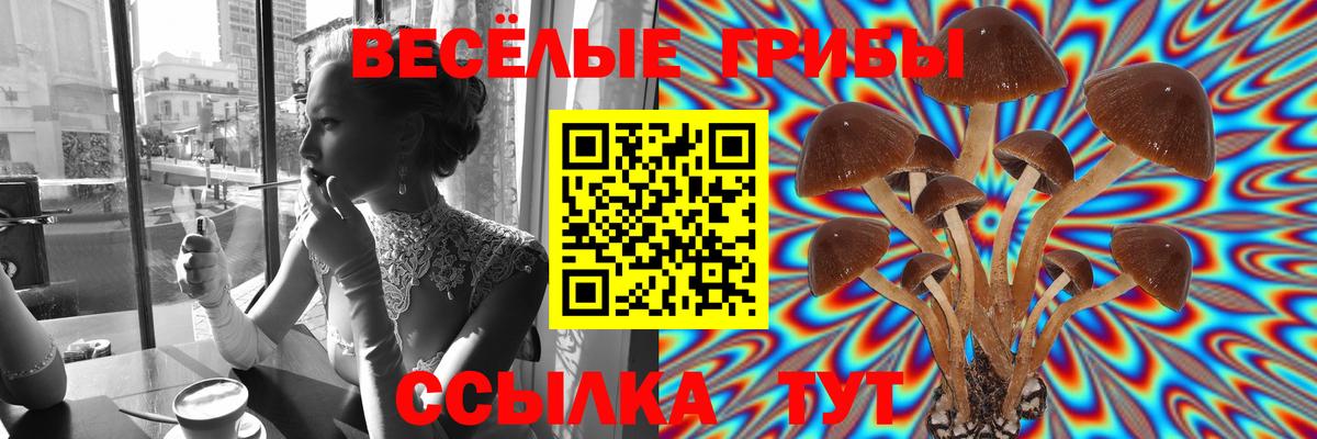 Амурск  Галлюциногенные грибы прущие грибы  Галлюциногенные грибы MAGIC MUSHROOMS  Вход с VPN 