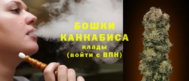 купить  цена  Амурск  Шишки марихуана SATIVA & INDICA 